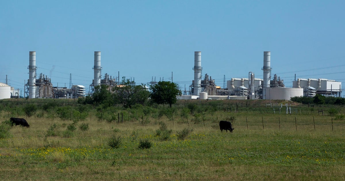 www.texastribune.org