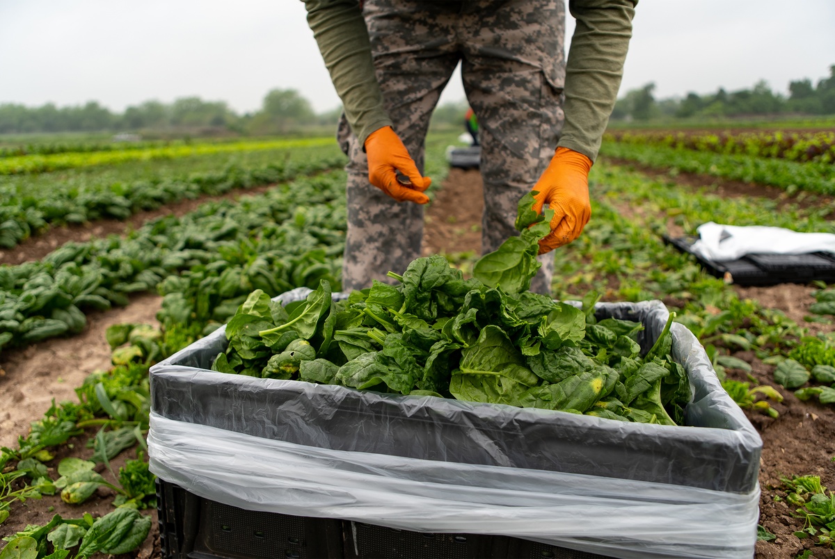 Texas Monthly – Texas farmers could have greater access to low-interest loans under a bill the Senate is considering