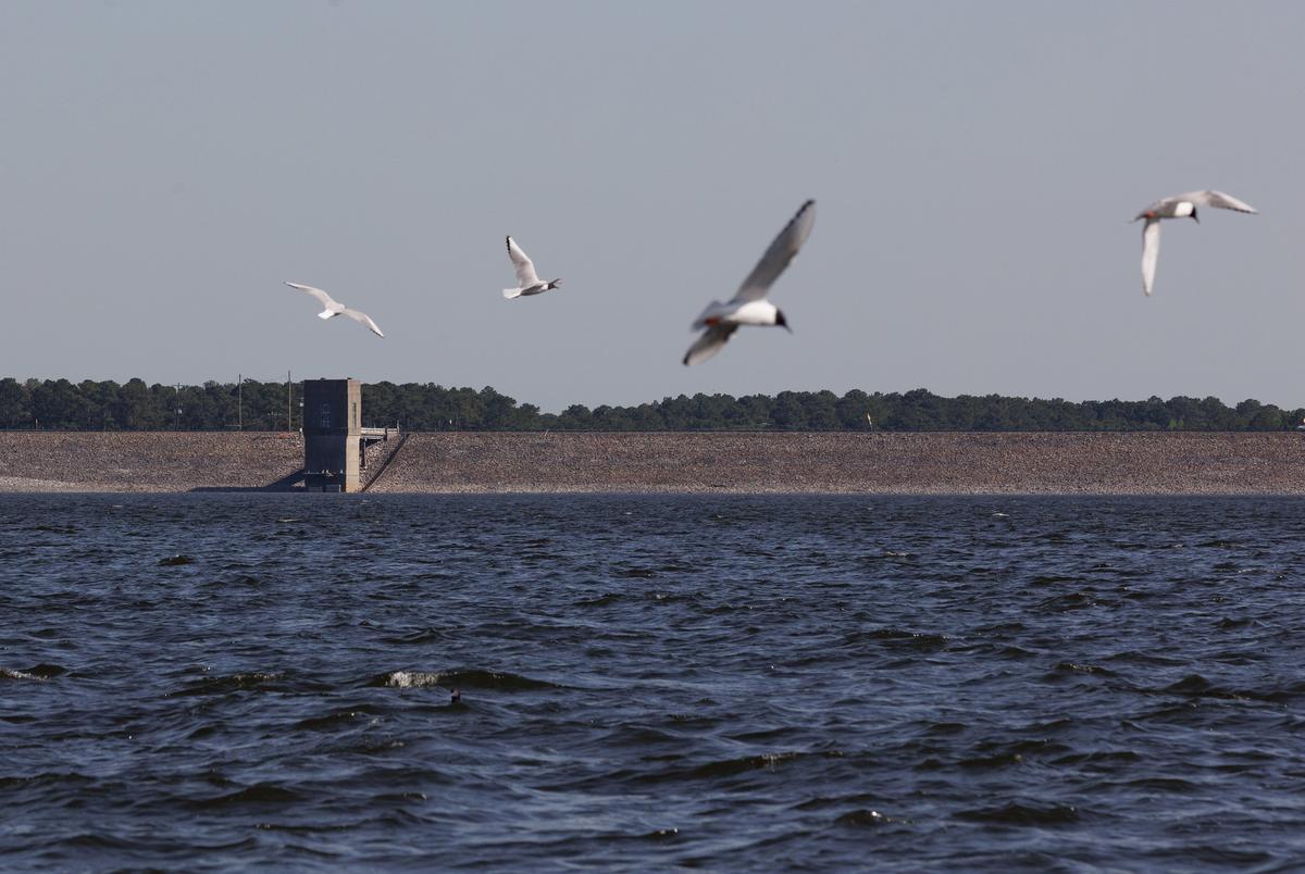 The Ferrells Bridge Dam on the Lake o’ the Pines on April 9, 2025.