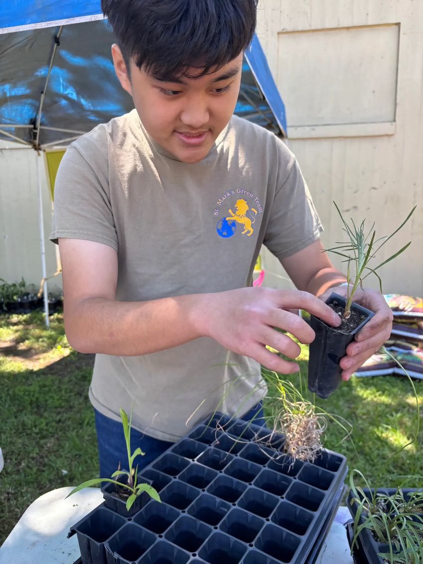 Max Yan, a senior at St. Mark’s School, sells plants grown by its prairie club during Native Plants and Prairies Day at White Rock Lake in Dallas.