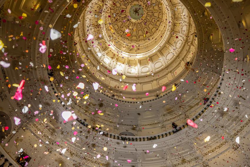 Youth activists deploy over 200,000 rose petals from the capitol rotunda to protest against what they describe as “Extremist Voter Suppression Legislation,” currently making its way through the elections committee in the Texas House of Representatives, on April 8, 2021.