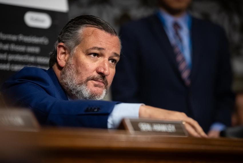 Sen. Ted Cruz (R-TX) berates U.S. Secret Service Acting Director Ronald Rowe, during a hearing about the attempted assassination of ex-President Donald Trump at a campaign rally, convened by the Senate Judiciary and Homeland Security Committees, Washington, DC, July 30, 2024.  One person was killed and two critically injured, but the former President sustained only a minor flesh wound. (Photo by Allison Bailey/NurPhoto)NO USE FRANCE