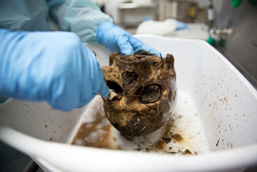 Senior Eastman Barnard processes a cranium after the body has decomposed at the Texas State facility on Freeman Ranch.