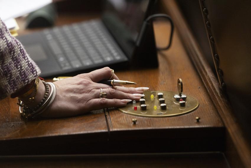 Rep. Mihaela Plesa, D-Dallas, votes at her desk on May 15, 2025. May 15 was the final day for the House to file bills.