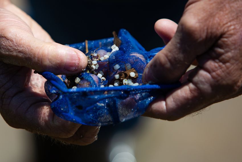 Federal judge rules against Formosa Plastics in Texas pollution case | The Texas Tribune