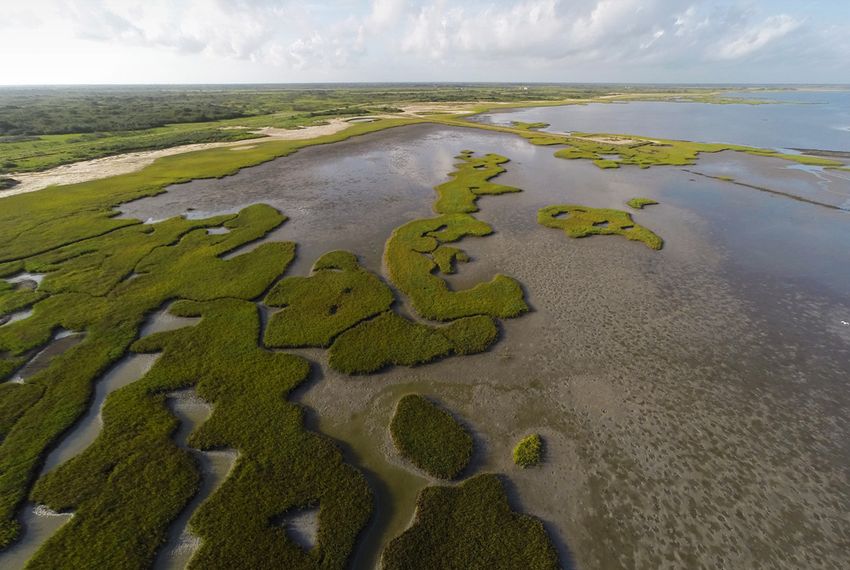 Texas Buys Conservation Land With Oil Spill Money The