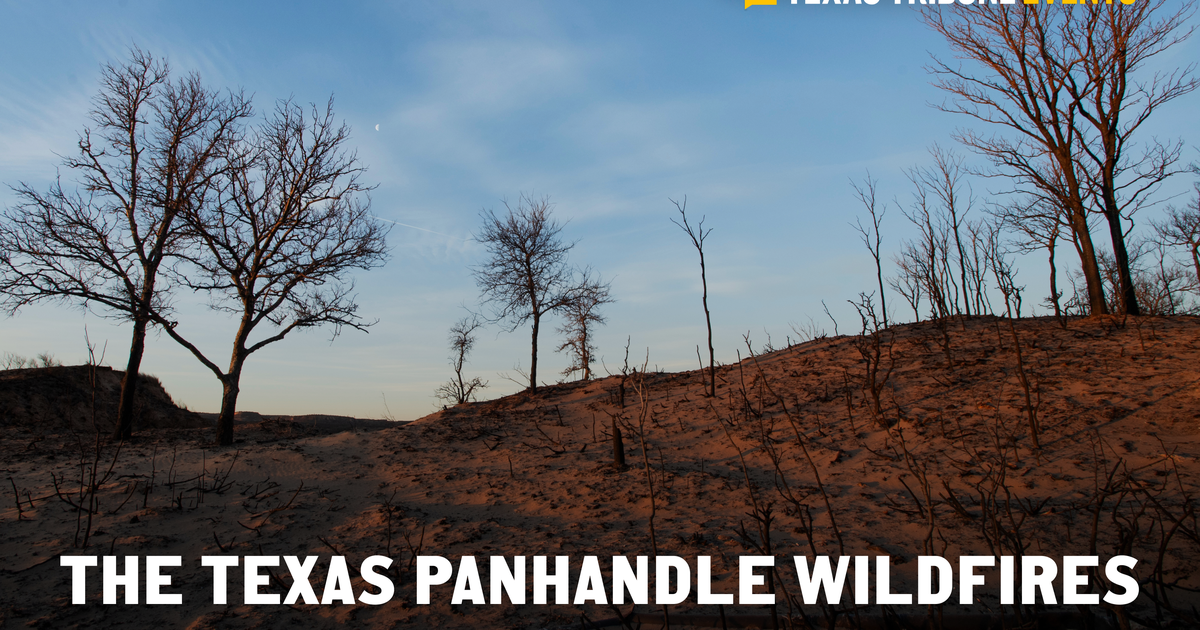 What the Texas wildfires mean to the Panhandle region The Texas Tribune