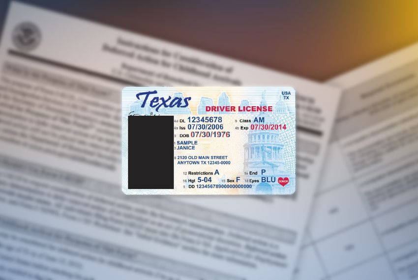 texas drivers license audit number change