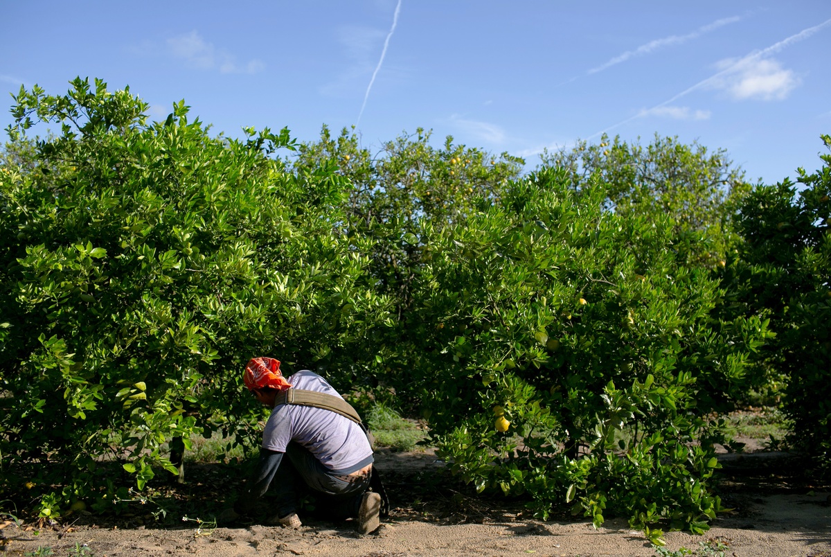 Stimulus Checks Aren T Coming For Undocumented Immigrants Working