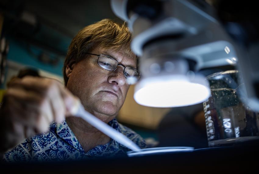 Ben Higgins, Research Fishery Biologist, feeds coral under a microscope projection at NOAA Southeast Fisheries Science Center Wet Lab, Tuesday, Sept. 17, 2024, in Galveston. (Antranik Tavitian / Houston Landing)