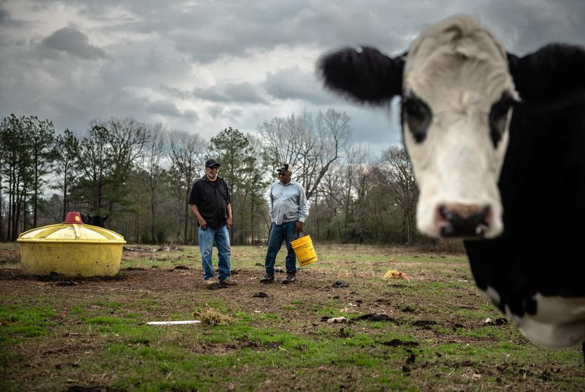 NACOGDOCHES, TEXAS - DECEMBER 28, 2021:  Igalious “Ike” Mills and his brother, Roy Mills feed the cows at their East Texas f…