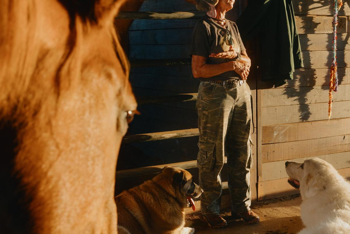 Cheryl Shadden offers treats to her horses on her land in Hood County on September 24, 2025. Shadden’s land, which she’s owned for 30 years, neighbors the MARA cryptocurrency facility built in 2022.
