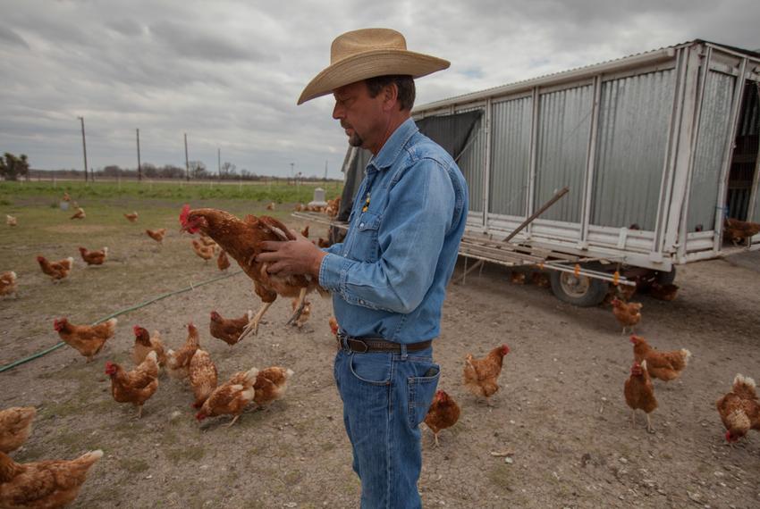 Gerald Cole of Taylor is an advocate for GMO labeling. He is among a small group of farmers and environmental advocates pushing for the labeling of GMO products in Texas.