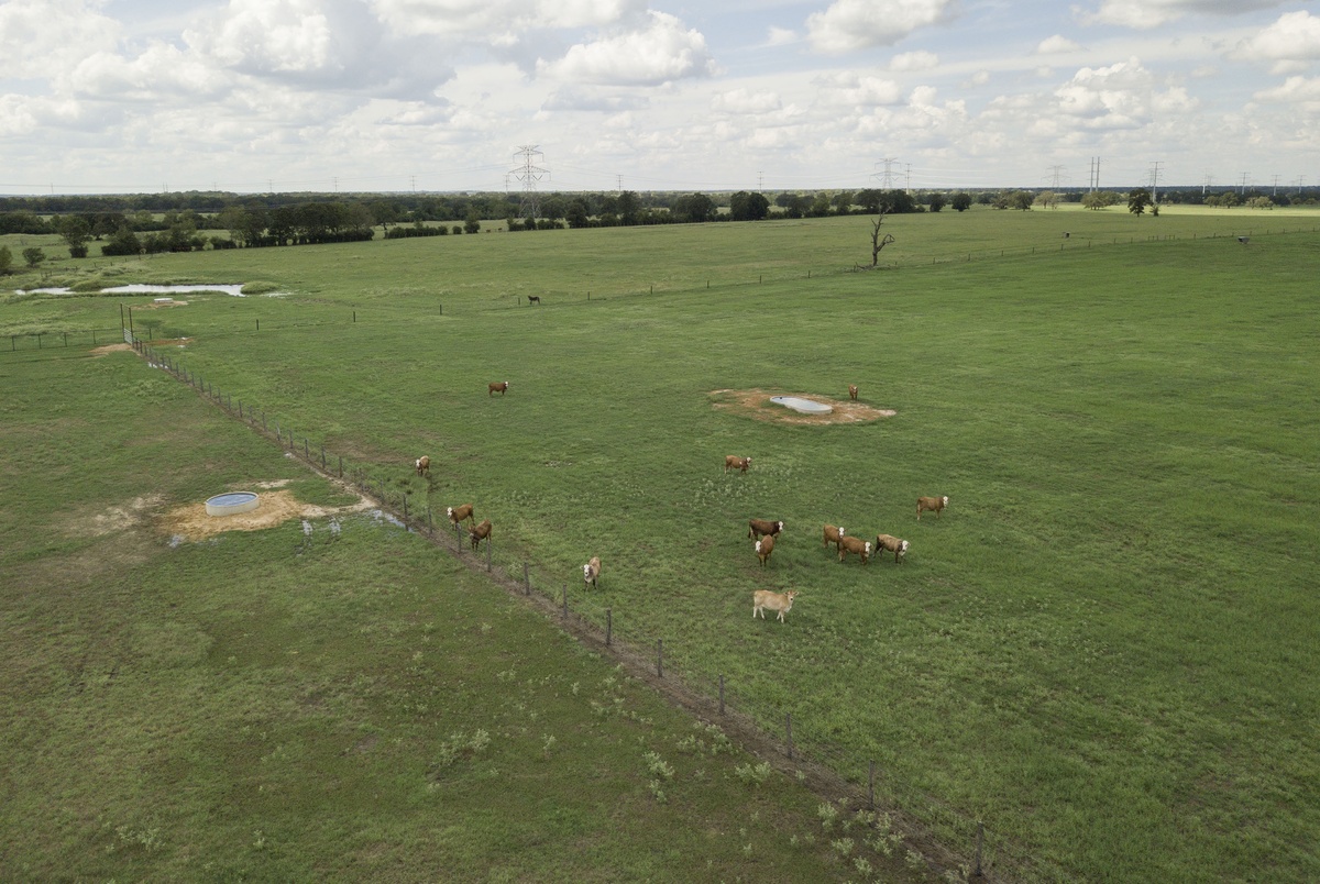 How does the government use eminent domain to seize land ...