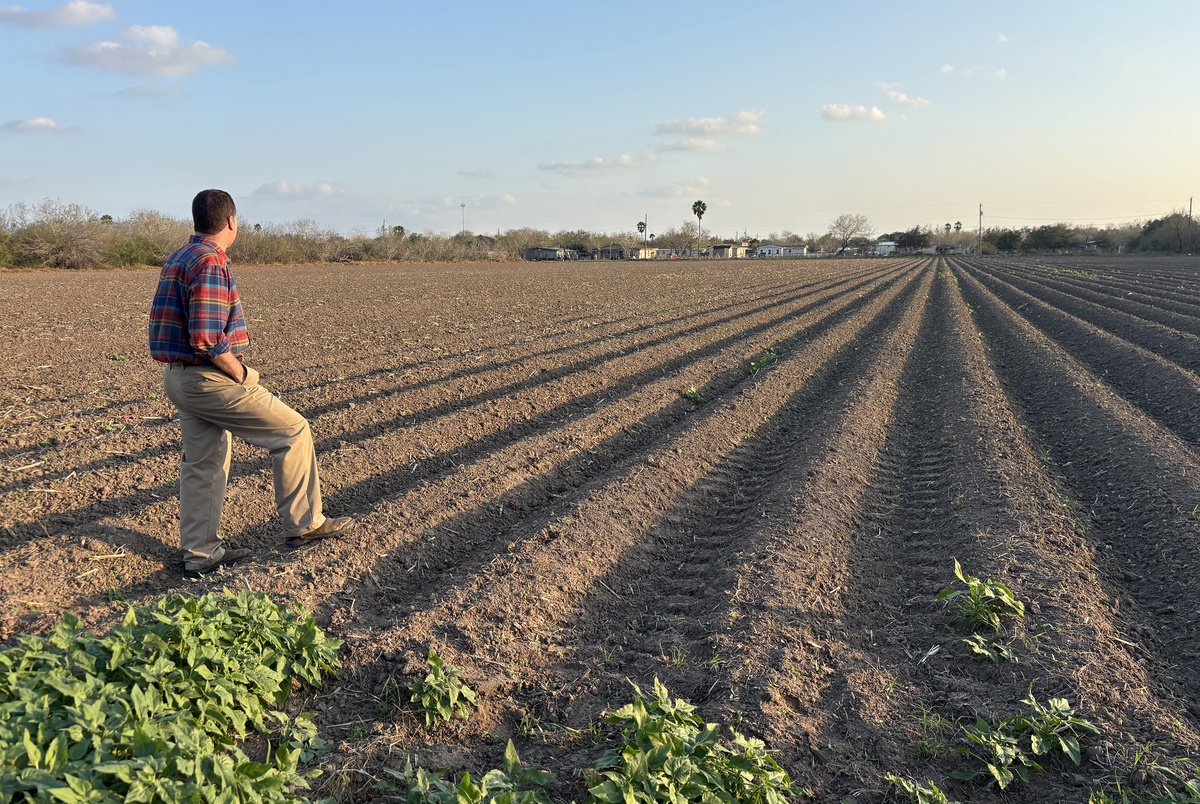Texas Monthly – The Rio Grande Valley was once covered in forest. One man is trying to bring it back.