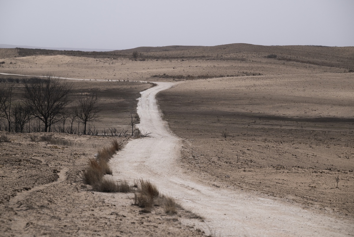 Texas Monthly – Texas legislative committee to investigate cause of Panhandle wildfires