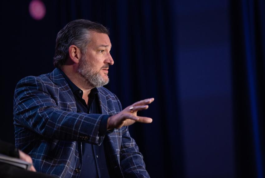 U.S. Sen. Ted Cruz speaks to Peter McCormack about bitcoin and freedom at the Texas Blockchain Summit in Austin on Nov. 18, 2022.