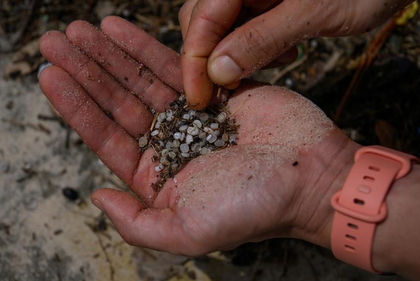 Volunteers clean plastic pellets at Sylvan Beach in La Porte on July 31, 2024.