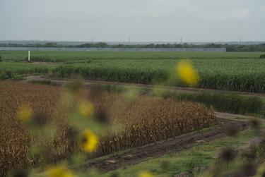 The privately funded border wall is seen from the area where Trump’s border wall will be built on June 19, 2020 in Mission. After Trump’s border wall is built, these fields will be between both border walls.