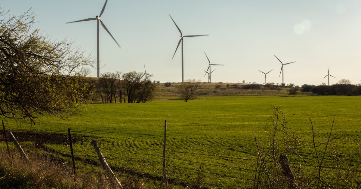 Photo of State leaders vow to exclude renewable energy from any revived economic incentive program