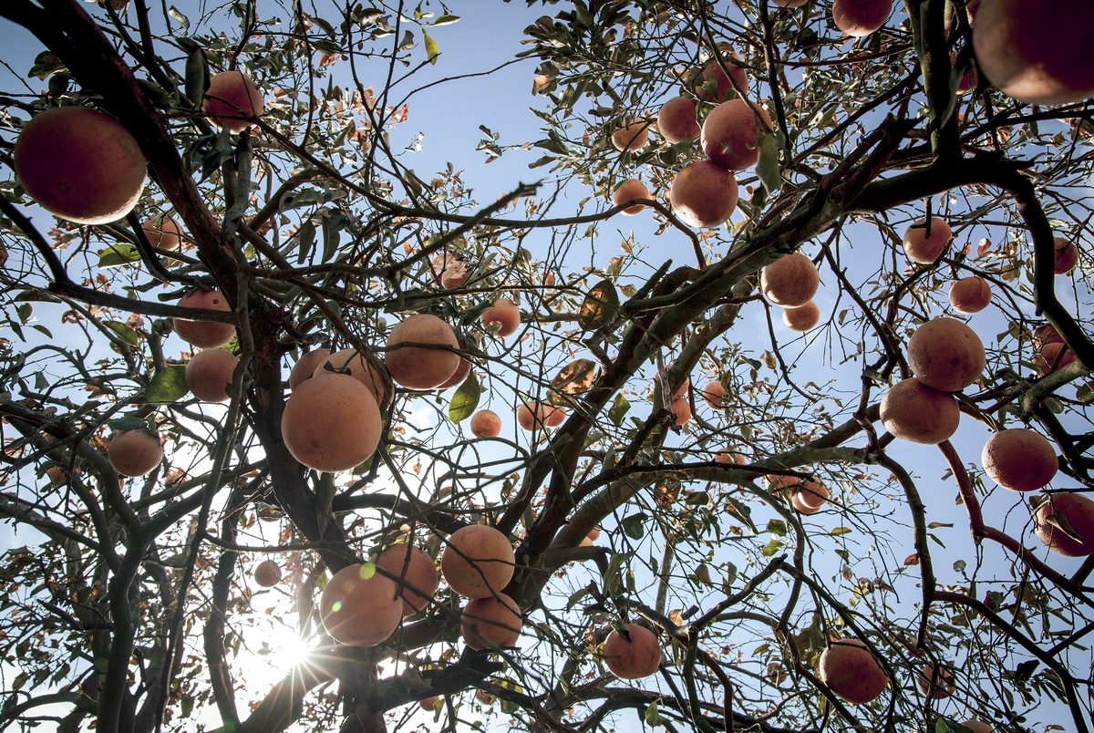 Texas Monthly – South Texas needs rain. Tropical Storm Alberto didn’t deliver enough.