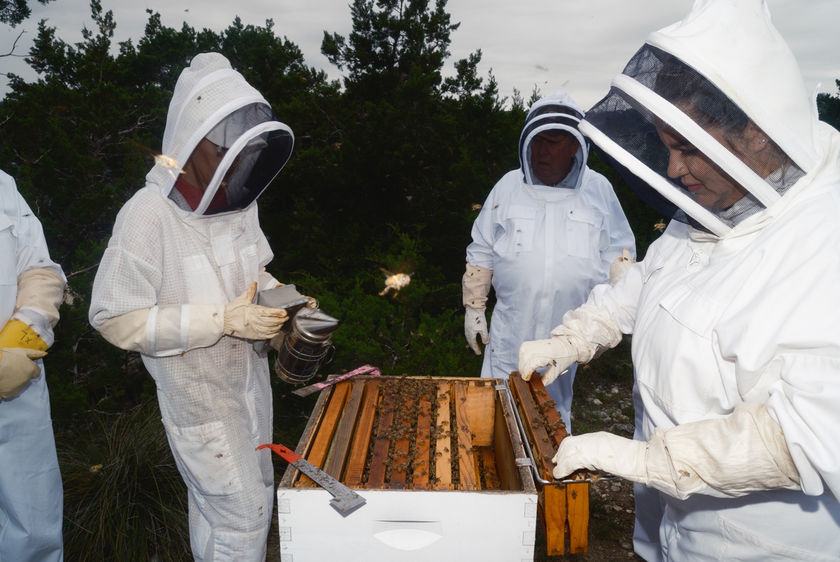 Texas Monthly – How a chance meeting helped Texas become the nation’s top beekeeping state