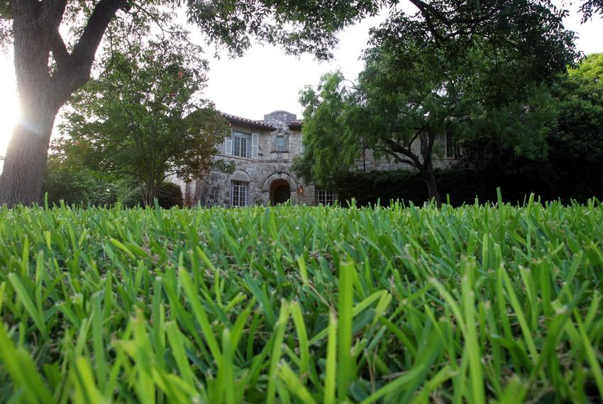 A green lawn in the Olmos Park neighborhood of San Antonio, shown on June 5, 2012.