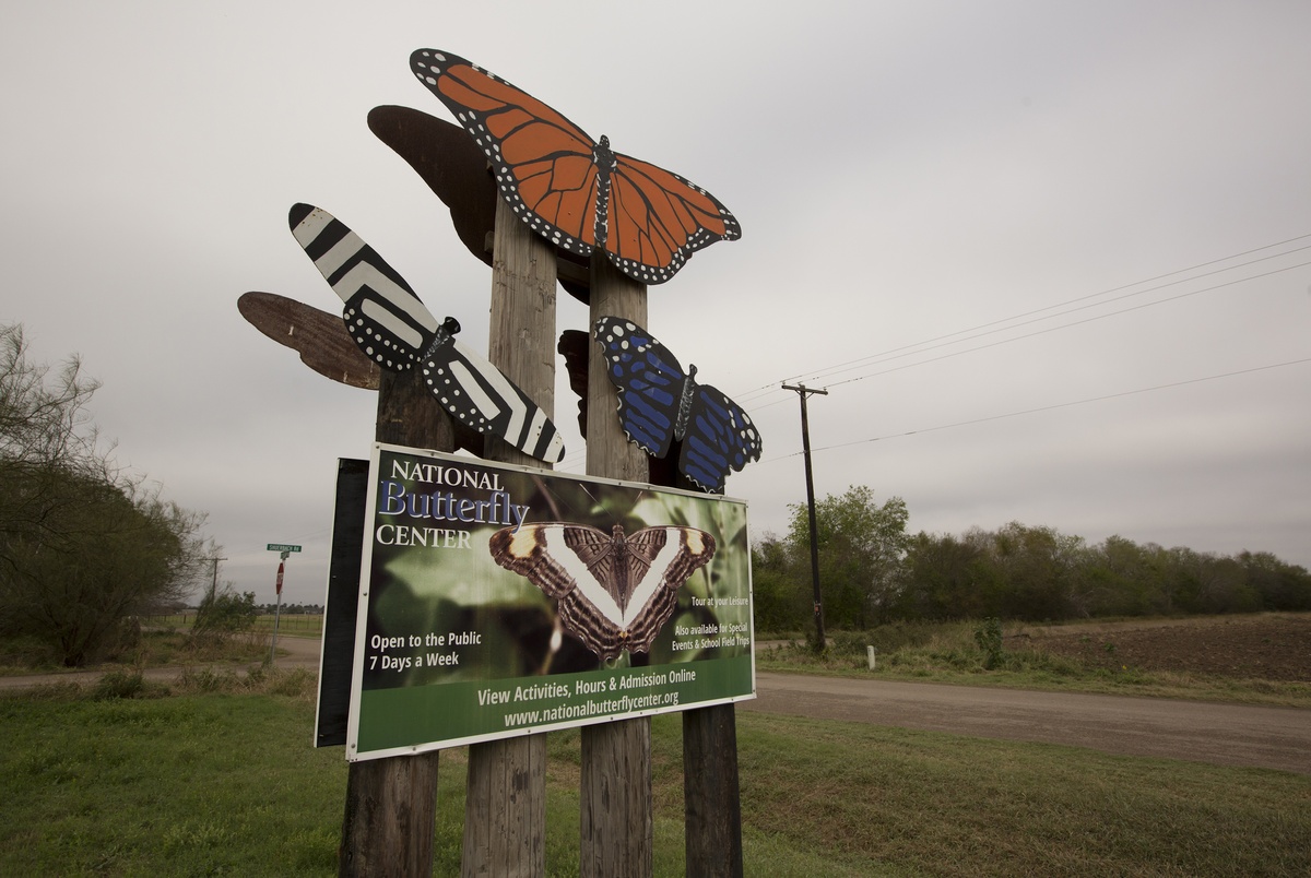 Texas butterfly sanctuary protected from border barrier, says shutdown