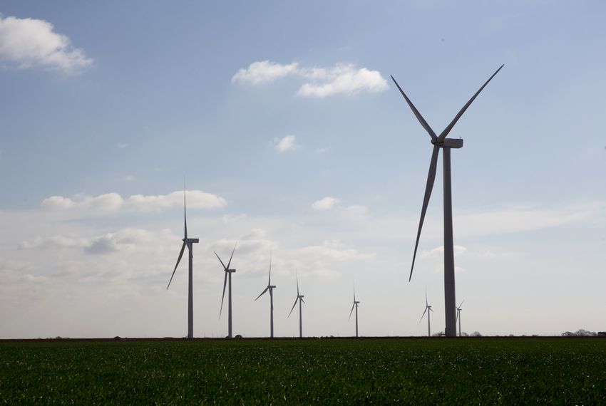Wind farm in Harrold, Texas.