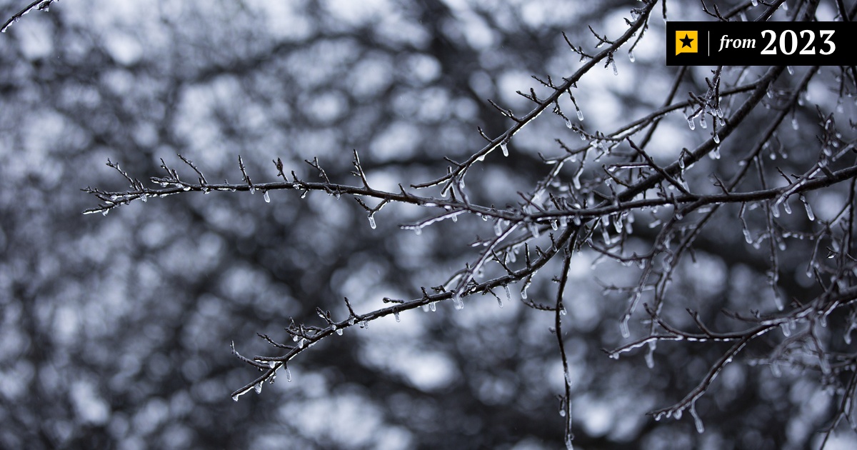 Texas icy winter weather causes cancellations, closures | The 