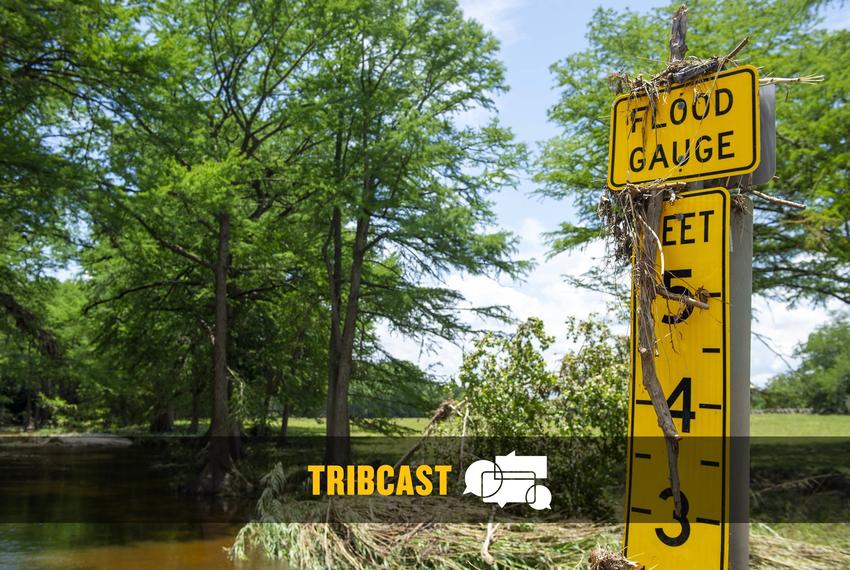 A flood gauge jammed with debris by a creek bridge near Hunt on July 9, 2025.