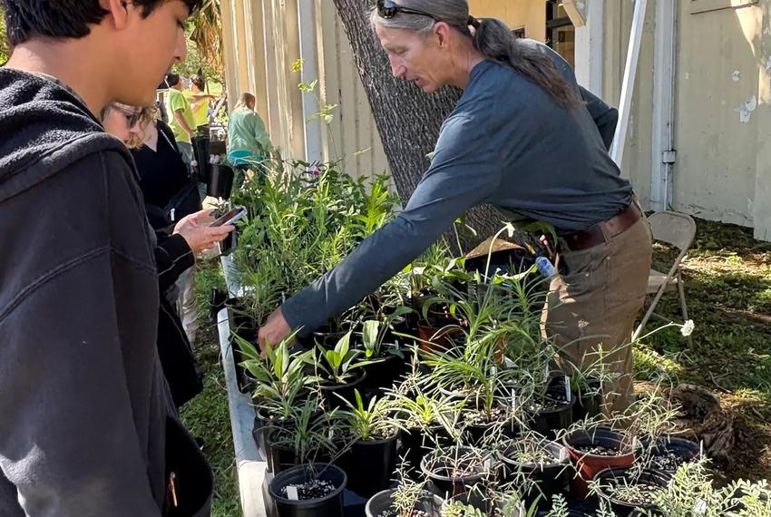 Native plant grower Randy Johnson sells seedlings during Native Plants and Prairies Day, held May 3, 2025 at the Bath House Cultural Center at White Rock Lake in Dallas. The event was organized by the Native Plant Society of Texas, Dallas Chapter; Texas Master Naturalist, North Texas Chapter; and the Native Prairies Association of Texas, Blackland Prairie Chapter.