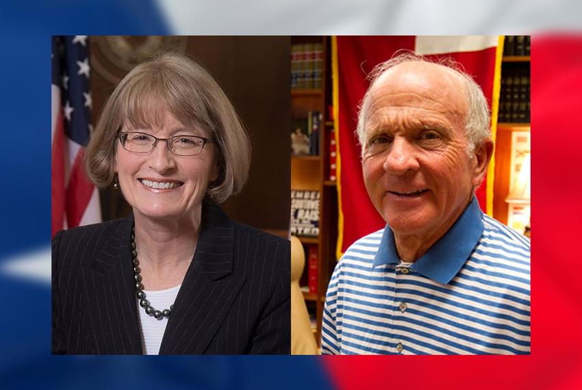 Mary Lou Keel a felony trial court judge in Harris County, is running for Place 2 on the Texas Court of Criminal Appeals against incumbent Larry Meyers.