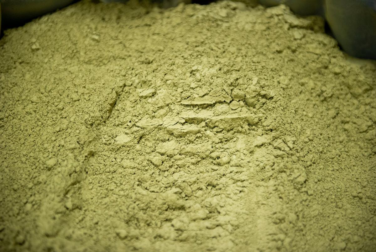 Powdered Kratom seen inside the 1836 Kratom distribution warehouse Friday, Aug. 8, 2025 in Pflugerville, TX. The powder is brought in from Indonesia, the powder comes from dried leaves of the Mitragyna speciosa plant.