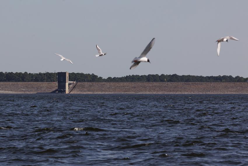 The Ferrells Bridge Dam on the Lake o’ the Pines on April 9, 2025.
