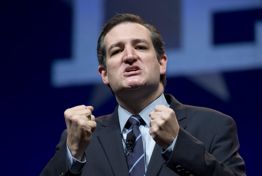 Sen. Ted Cruz of Texas rallies the Republican delegates at the Republican Convention in Fort Worth June 6, 2014.