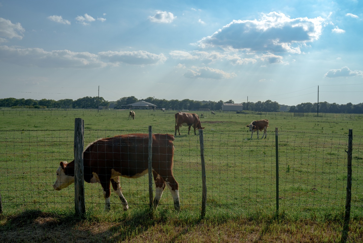 Texas Monthly – Bills aimed at studying, restricting “forever chemicals” in Texas fail