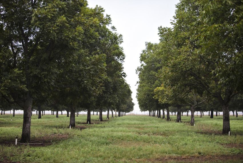 In Texas, Fight Over Water Spills Underground The Texas Tribune