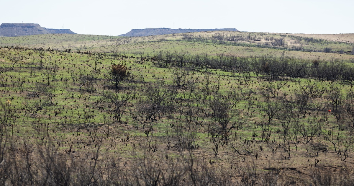 Texans are preparing for the state's next big wildfire - Vimarsana News