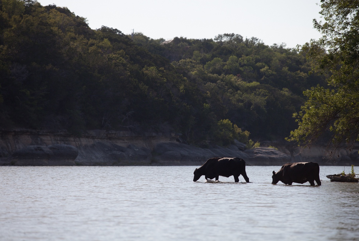 Report Major Texas industrial facilities rank first nationally in