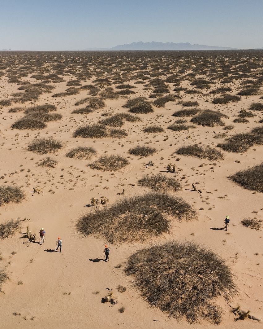 Volunteers with Battalion Search and Rescue walk in a line searching for migrants who have died west of Santa Teresa, New Mexico on April 26, 2025.