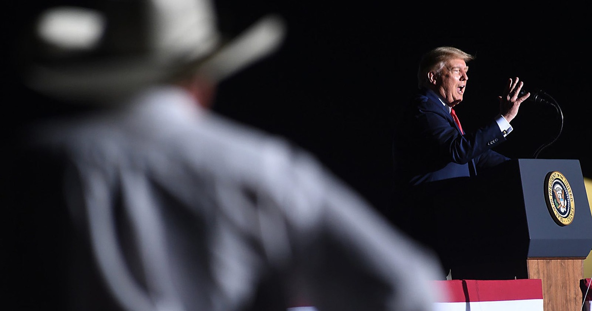 Susan Wright gets late support from Donald Trump in Texas special election - Vimarsana News