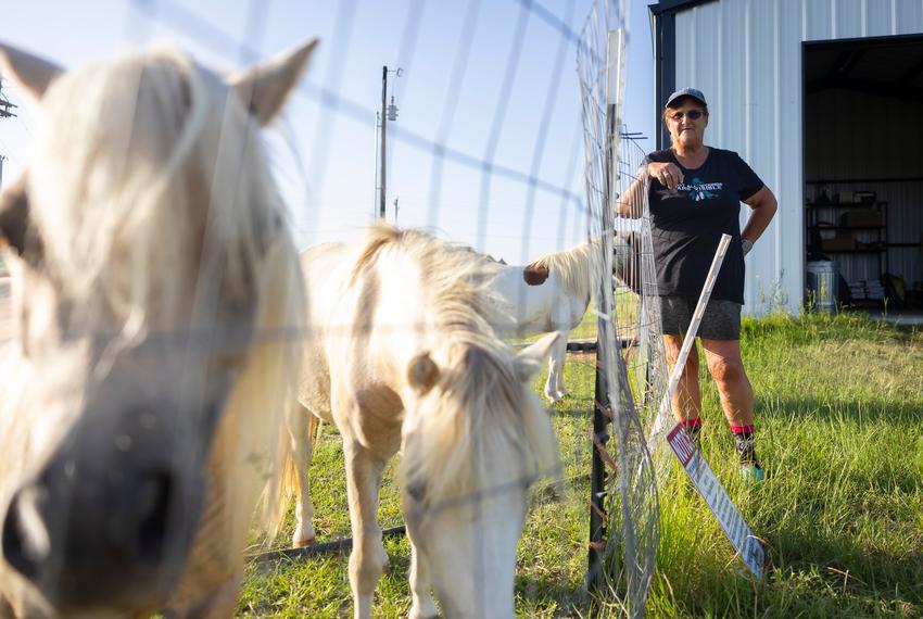 Romana Harding greets goats and miniature horses on her farm outside of Midway, TX, on Tuesday, July 29, 2025. Romana plans use the 10 acres she owns to make a farm for other veterans to visit and experience healing.