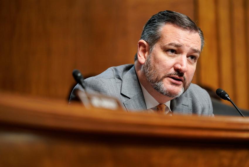 Senator Ted Cruz, R-Texas, questions judicial nominees during a hearing before the Senate Judiciary Committee on Capitol H...