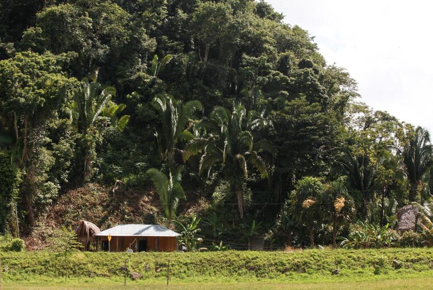 The Xol and Bol home in San Miguel Limón, in the Guatemalan state of Alta Verapaz, where David Xol works on a plantation cutting African palm from 5 a.m. to 4 p.m. six days a week.