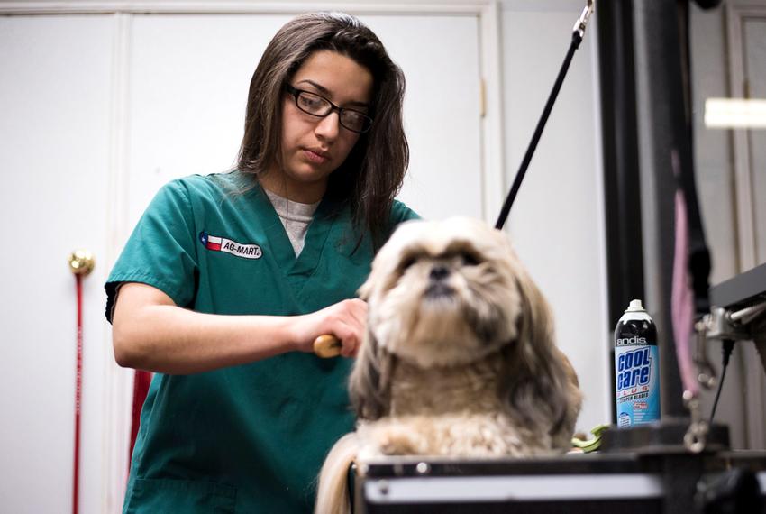 Miriam works at the AG-Mart Pet Supply Store in Brownwood, Texas as part of her TJJD work program on January 20, 2016.