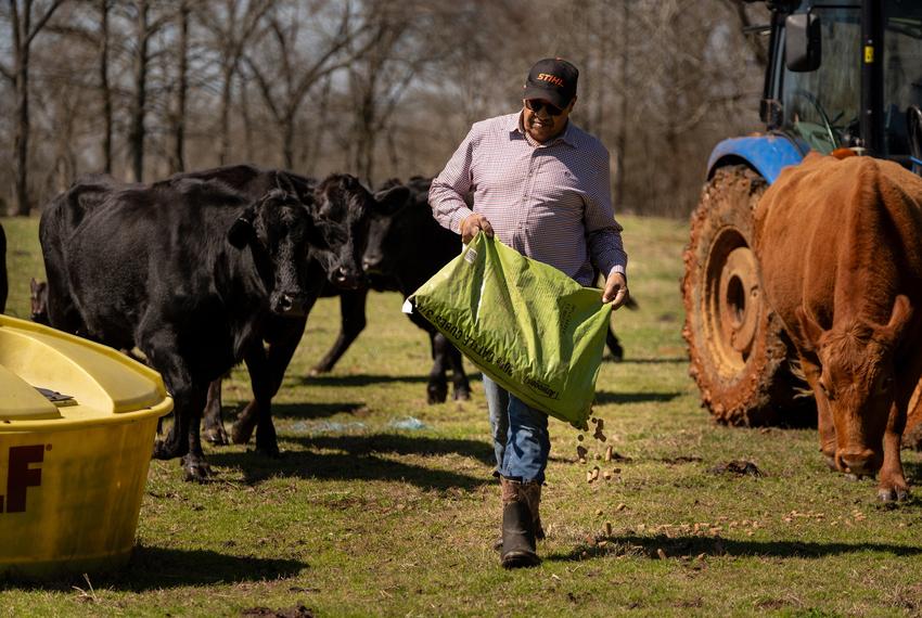 Roy Mills checks on the cattle at J&R Mills Family Farms, on Wednesday February 26, 2025, in Nacogdoches County.