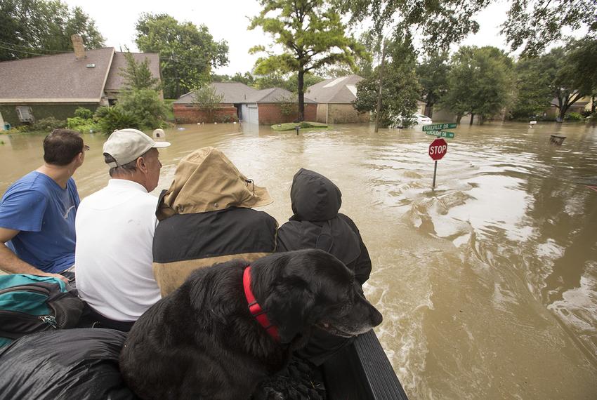 A load of Harvey evacuees in the back of Chris Ginter’s monster truck in Houston on Aug. 29, 2017. Ginter volunteered to evacuate residents from their flooded neighborhood near Buffalo Bayou. 