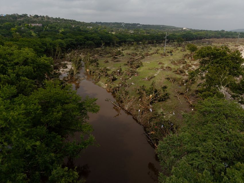 Trees uprooted by floodwaters lie across a field in Hunt in Kerr Country on July 5.