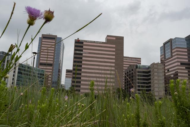 Texas Won T Say Which Hospitals Are Hitting Capacity The Texas Tribune